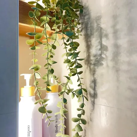 Apartment Palmeras 81