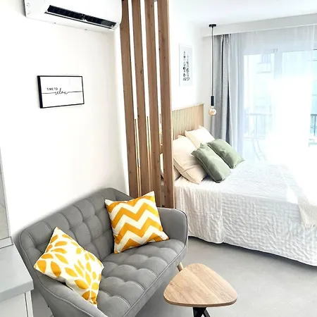 Palmeras 81 * 内尔哈